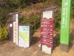 -广州白江湖森林公园