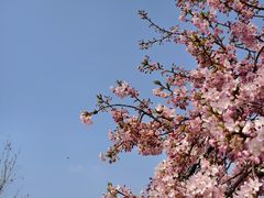-上海辰山植物园