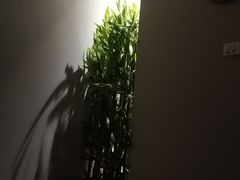 -泰享受·泰式按摩·SPA(海珠琶洲新村店)