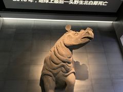 -浙江自然博物院(杭州馆)