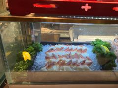 -君悦酒店·乐厨·高空自助餐(青年大街店)