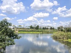 -马陆小张葡萄园农家乐