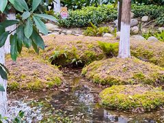 -成都市活水公园