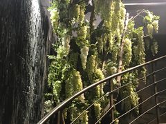 -春天里·老街坊餐厅(港隆广场店)