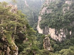 -牛背梁国家森林公园