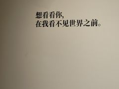 -辰熙ACX星海艺术中心