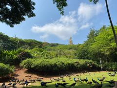 -西双版纳勐泐文化旅游区