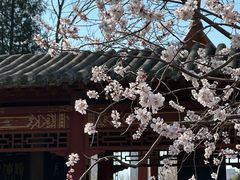 -碑林公园