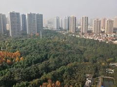 -重庆彩云湖湿地公园