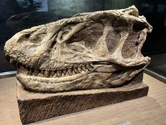 -自贡恐龙博物馆