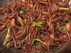 -龟兹KUCINA·新疆菜(前滩L+PLAZA店)