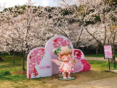 -苏州上方山国家森林公园