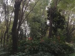 -木塔寺遗址生态公园
