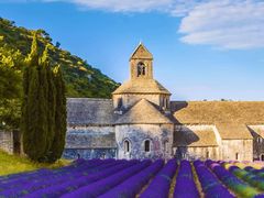 -紫荆广场·花漫里