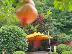 -西安华清御汤酒店