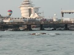 -北戴河碧螺塔海上酒吧公园