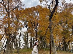 -白鹭湾湿地公园