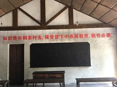 -同里国家湿地公园