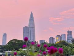 -深圳湾万象城(南山店)