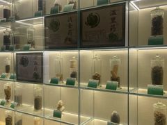-广东中医药博物馆