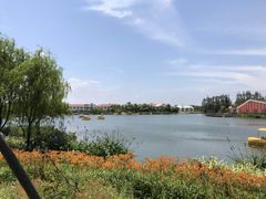 -上海长兴岛郊野公园