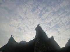 -遇龙河大樟树农家乐