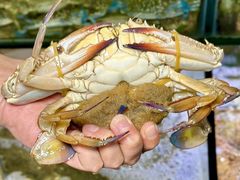 -海之鲜大排档(东山海鲜金銮湾店)