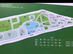 -杨柳青庄园