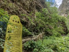 -龙门涧景区