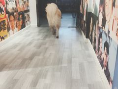 -肆兮眼镜·蔡司·徕卡战略合作店(大坪店)