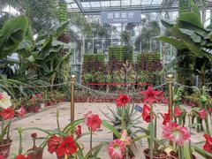 -国家植物园南园