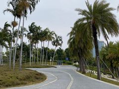-宝安西湾红树林湿地公园