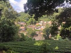-杨家堂村