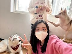 -Husky Go! 哈士奇体验馆·宠物咖啡厅狗咖