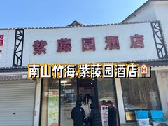 -紫藤园·天目湖大鱼头(南山竹海店)