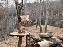 -济南野生动物世界