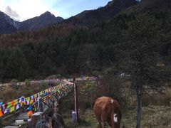 -硗碛藏寨·神木垒景区