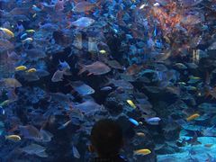 -成都浩海立方海洋公园