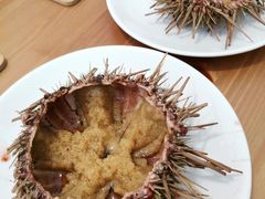 -海胆小馆(东北水饺·春柳店)