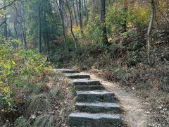 -青龙山国家森林公园