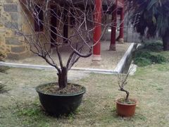 景点-毛泽东寻乌调查纪念馆