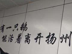 -正宗忘不了老鹅(梅岭店)