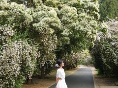 -国家植物园南园