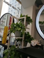 -T-Hair Salon