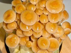 -烹然四季椰子鸡火锅(姚家园万象汇店)