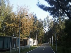 -西涌国际滨海旅游区