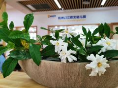 -杭州滨江欧文幼儿园