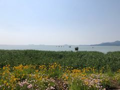 -苏州太湖湖滨国家湿地公园