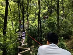 -衢州大荫山丛林飞越探险乐园