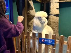 -重庆欢乐海底世界